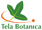 Tela Botanica